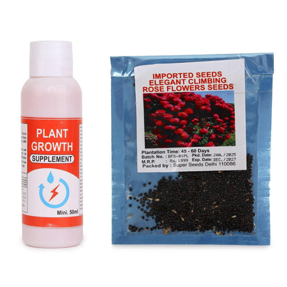 Elegant Climbing Rose Flower Seeds